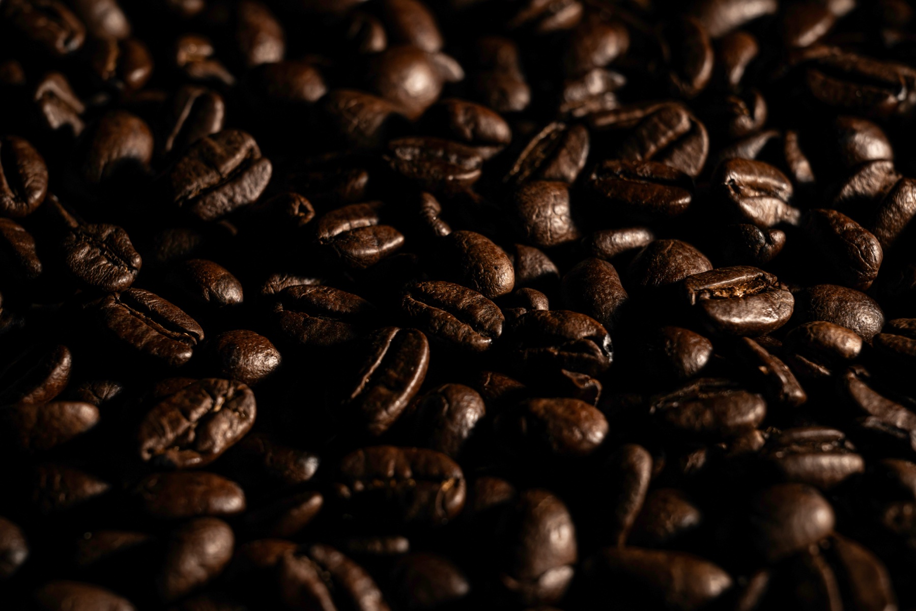 Kahve Tadını Neler Belirler? Çekirdek, Kavrum ve Demlemenin Etkisi